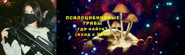 а пвп мука Осинники