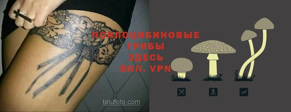 а пвп мука Осинники
