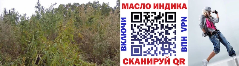 Дистиллят ТГК THC oil  закладки  hydra рабочий сайт  Таштагол 