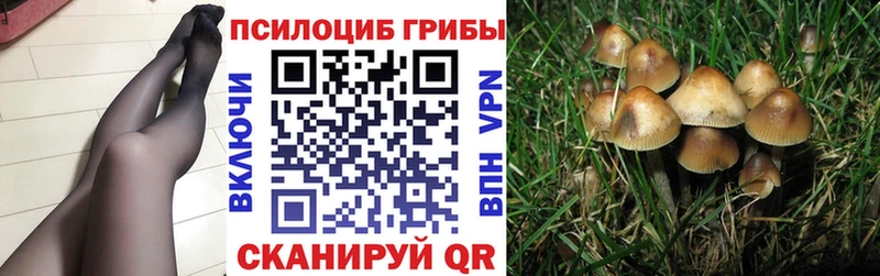 Галлюциногенные грибы Cubensis  купить наркоту  Таштагол 